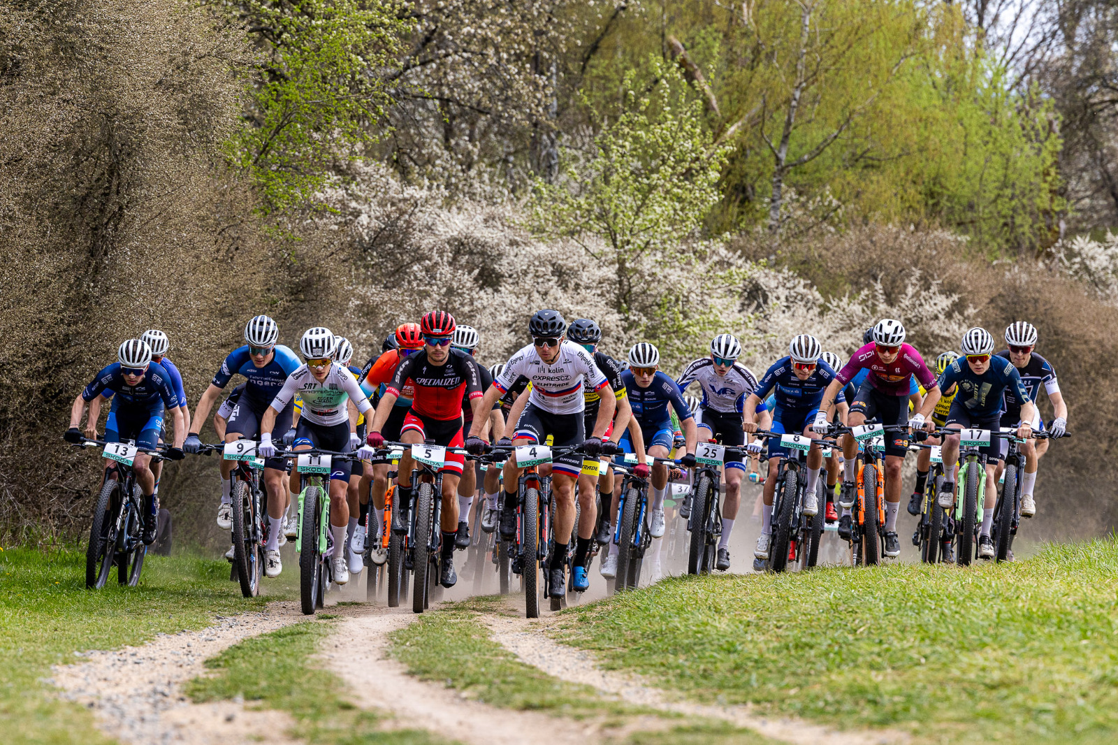 WhatsApp Image 2026-04-19 at 18.16.03 (2).jpeg